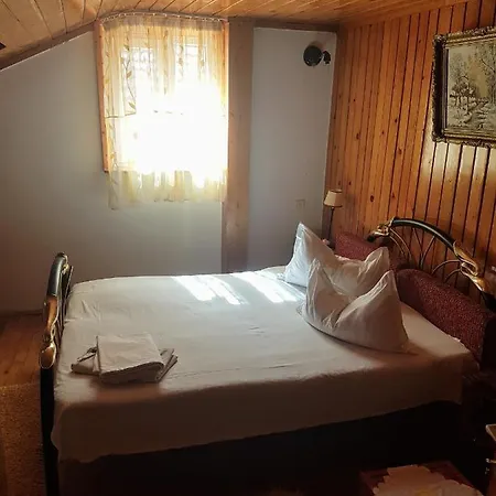 Guest house Cazare De Vis Douazeci si Trei August